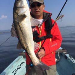 アマテラス 釣果