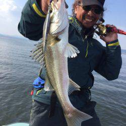 アマテラス 釣果