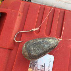 「LaGooN」蒼陽丸 日和号 釣果