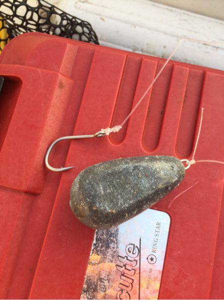 「LaGooN」蒼陽丸 日和号 釣果