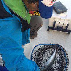 「LaGooN」蒼陽丸 日和号 釣果