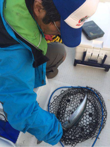 「LaGooN」蒼陽丸 日和号 釣果