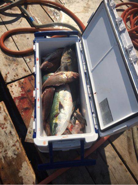 釣り堀水宝 釣果