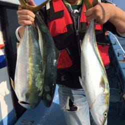 ヤザワ渡船 釣果