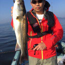 アマテラス 釣果