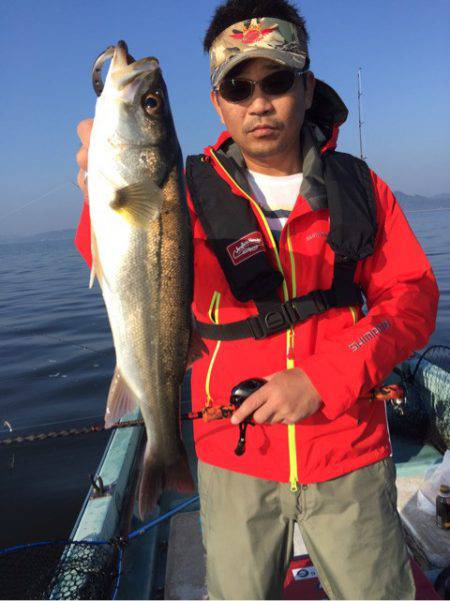 アマテラス 釣果