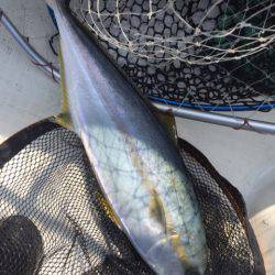 「LaGooN」蒼陽丸 日和号 釣果