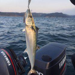 「LaGooN」蒼陽丸 日和号 釣果