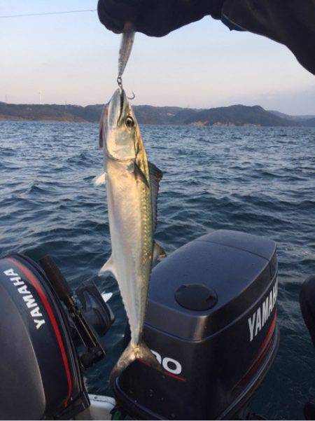 「LaGooN」蒼陽丸 日和号 釣果