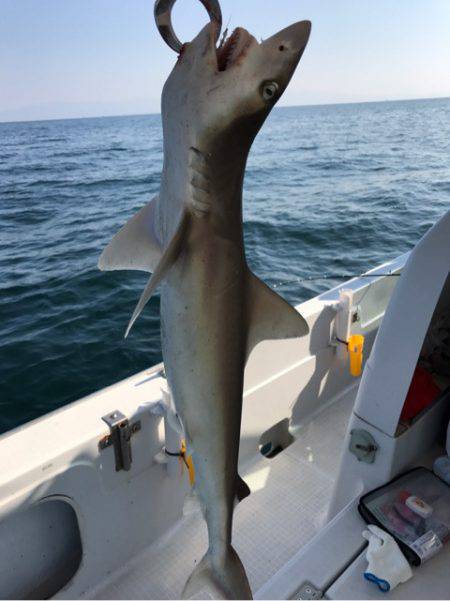 龍神丸（鹿児島） 釣果