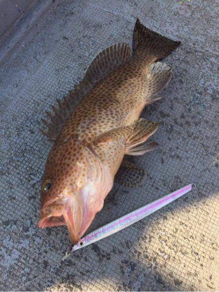 第二 海洋丸 釣果