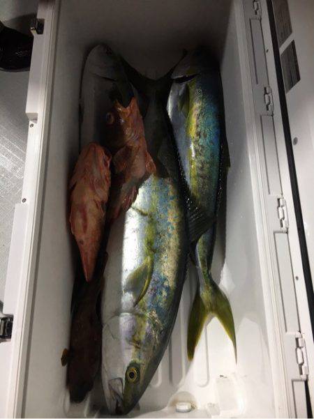 海楽隊 華栞丸 釣果