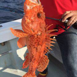 海楽隊 華栞丸 釣果