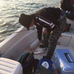 「LaGooN」蒼陽丸 日和号 釣果