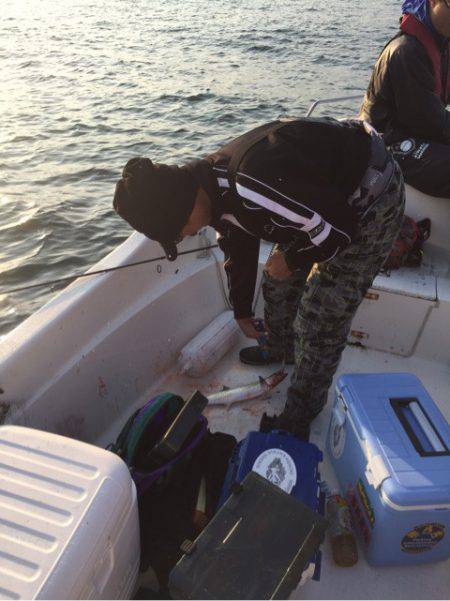 「LaGooN」蒼陽丸 日和号 釣果