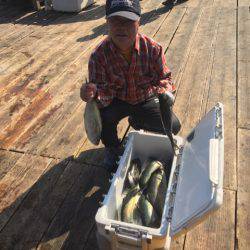 釣り堀水宝 釣果