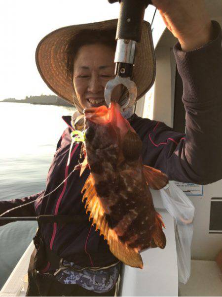 龍神丸(鹿児島) 釣果