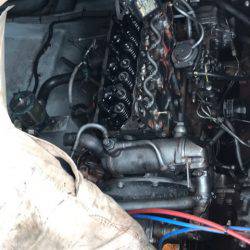 龍神丸(鹿児島) 釣果