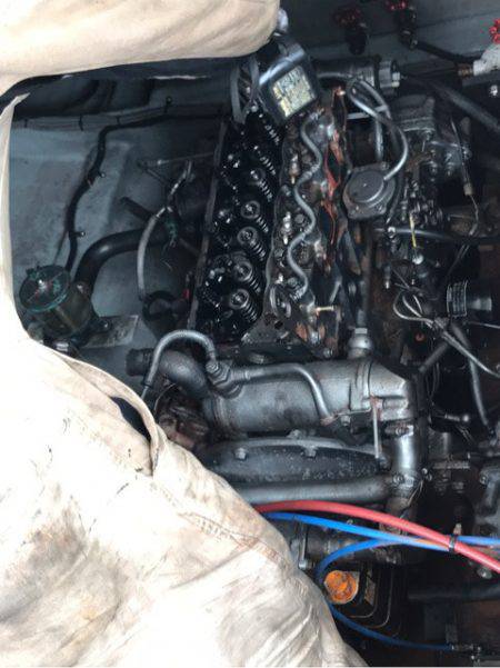 龍神丸(鹿児島) 釣果