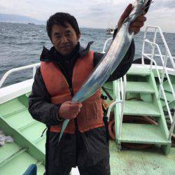 ヤザワ渡船 釣果