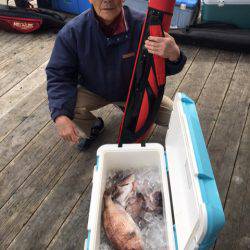 釣り堀水宝 釣果
