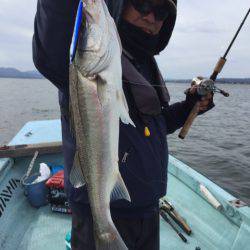 アマテラス 釣果