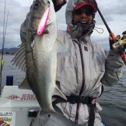 アマテラス 釣果