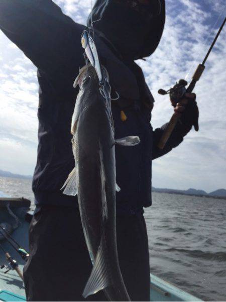 アマテラス 釣果