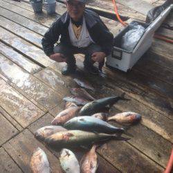 釣り堀水宝 釣果