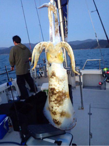 まるいち丸 ZERO-1 釣果