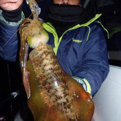 まるいち丸 ZERO-1 釣果