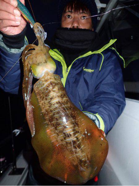 まるいち丸 ZERO-1 釣果