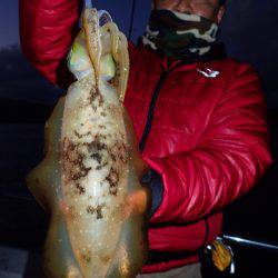 まるいち丸 ZERO-1 釣果