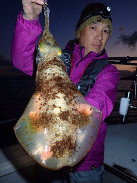 まるいち丸 ZERO-1 釣果