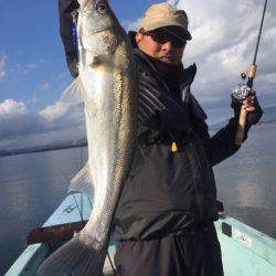 アマテラス 釣果