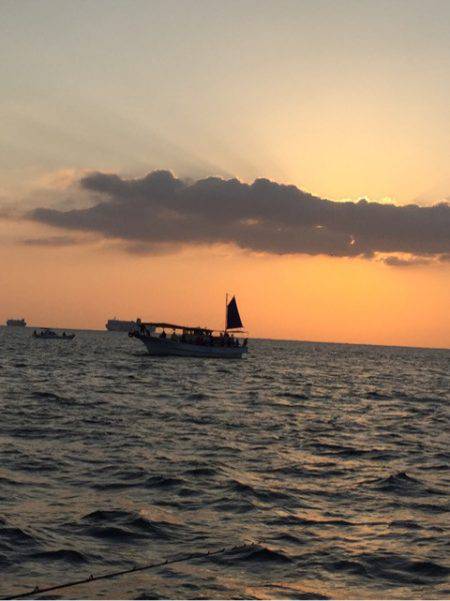 ヤザワ渡船 釣果