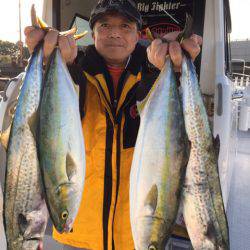 ビッグファイター 釣果