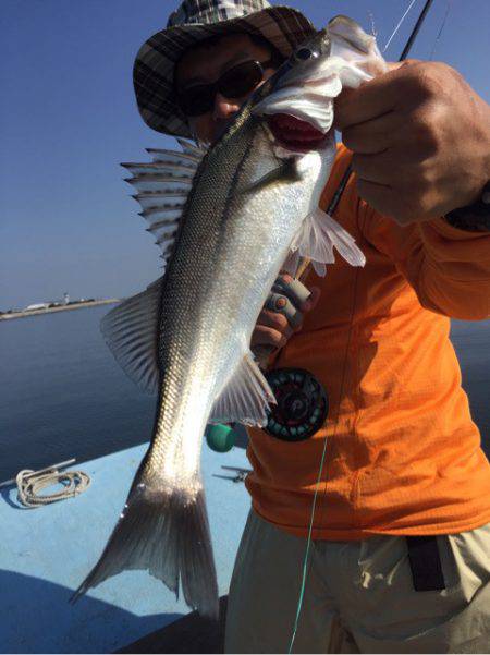 アマテラス 釣果