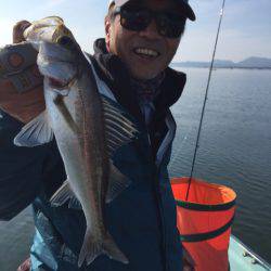 アマテラス 釣果