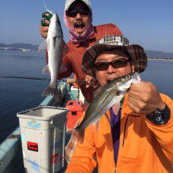 アマテラス 釣果