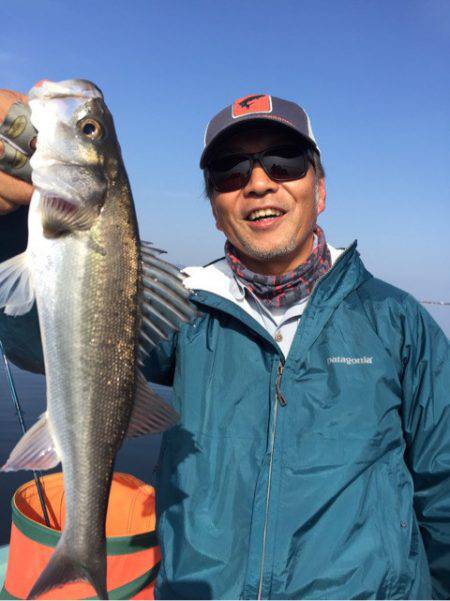 アマテラス 釣果