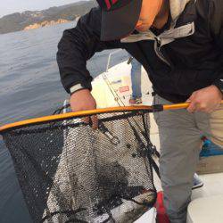 「LaGooN」蒼陽丸 日和号 釣果