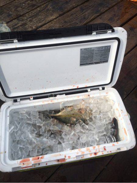 釣り堀水宝 釣果