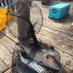 釣り堀水宝 釣果