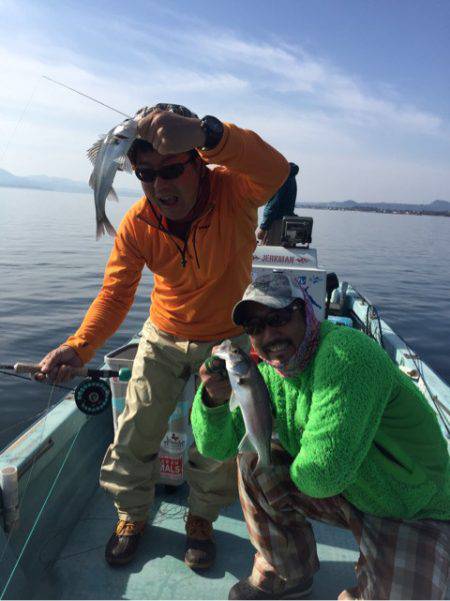 アマテラス 釣果