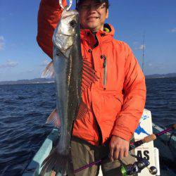 アマテラス 釣果