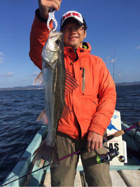 アマテラス 釣果