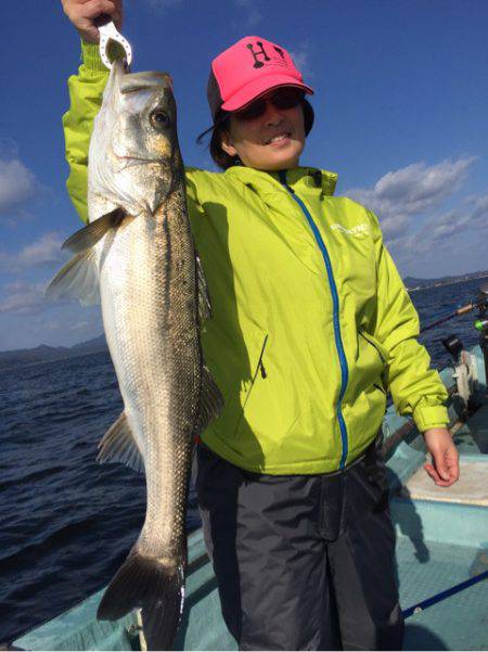 アマテラス 釣果