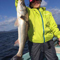 アマテラス 釣果