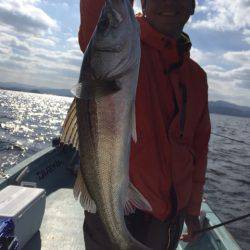 アマテラス 釣果